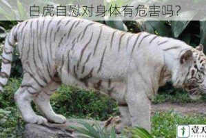 白虎自慰对身体有危害吗？