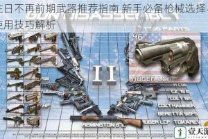 往日不再前期武器推荐指南 新手必备枪械选择与使用技巧解析