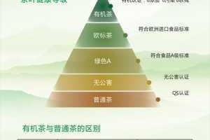 大地中文资源 10 是什么？有什么用？如何使用？