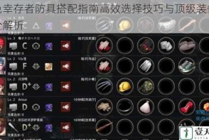 黑色幸存者防具搭配指南高效选择技巧与顶级装备推荐全解析