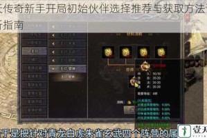 天天传奇新手开局初始伙伴选择推荐与获取方法详细解析指南