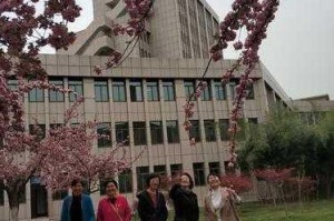 如何找到 a 樱花福利院院高清入口？