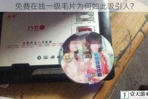 免费在线一级毛片为何如此吸引人？