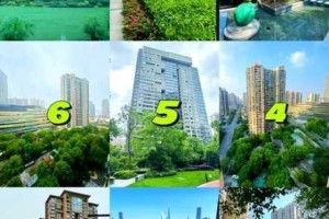 为什么虹芝屿的房价如此之高？有什么秘诀吗？