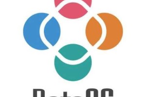 大家传媒 CEO 入口官方网站下载：为什么找不到？如何下载？怎样安装？