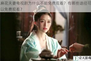 麻花夫妻电视剧为什么不能免费观看？有哪些途径可以免费观看？