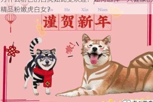 为什么粉色的白虎如此受欢迎？如何选择一只健康的精品粉嫩虎白女？