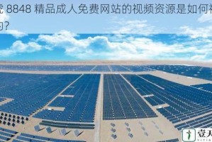 四虎 8848 精品成人免费网站的视频资源是如何被传播的？