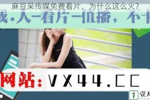 麻豆呆传媒免费看片，为什么这么火？
