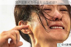 国产区影片为什么如此受欢迎？