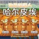 洛克王国哈尔皮埃性格深度解析 开朗固执勇敢三大特性实战推荐