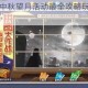 摩尔庄园手游中秋望月活动最全攻略玩法解析与奖励速刷技巧分享