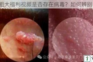 黑人粗大福利视频是否存在病毒？如何辨别真假？