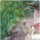 寻踪夺笋高手七彩蟋蟀神秘现身之地探寻奇幻竹林背后的虫鸣奥秘与真相