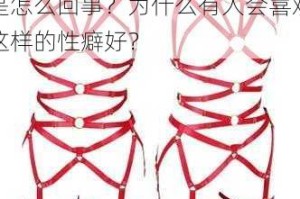 调教、灌药、捆绑 play 是怎么回事？为什么有人会喜欢这样的性癖好？