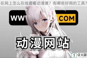 在网上怎么在线观看动漫黄？有哪些好用的工具？