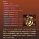 阿玛拉王国DLC新增商人装备套装全方位解析及NPC功能图文指南