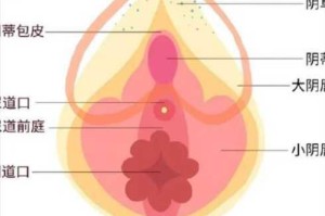 精美一区二区的秘密是什么？如何找到它们？