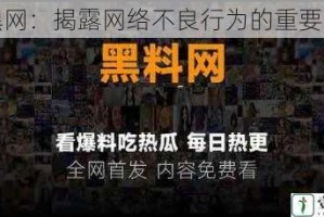 料黑网：揭露网络不良行为的重要平台