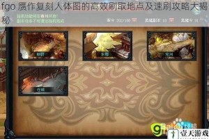 fgo 赝作复刻人体图的高效刷取地点及速刷攻略大揭秘