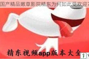 国产精品嫩草影院精东为何如此受欢迎？