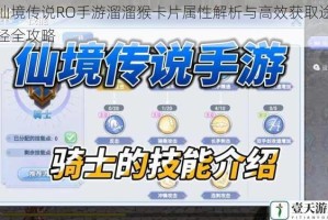 仙境传说RO手游溜溜猴卡片属性解析与高效获取途径全攻略
