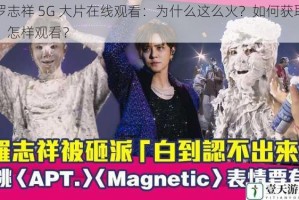 罗志祥 5G 大片在线观看：为什么这么火？如何获取？怎样观看？