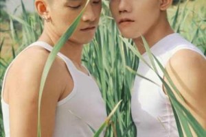 Gay 大陆年轻帅小伙 2022 上发生了什么？为何-怎样吸引众多目光？