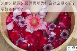 久产久射久精国久品网页版为什么这么受欢迎？如何获得更好的体验？