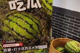 51cg 吃瓜免费：带你畅享热门吃瓜盛宴