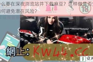 为什么要在深夜浏览站并下载麻豆？这样做是否安全？如何避免潜在风险？