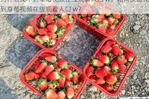 为什么找不到草莓视频在线观看入口 w？如何快速找到草莓视频在线观看入口 w？