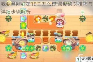 我要当网红第18关怎么过 最新通关技巧与详细步骤解析