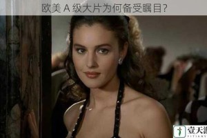 欧美 A 级大片为何备受瞩目？