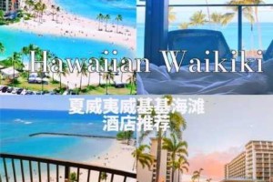 我跟两个外国人在酒店，他们想出去玩，我该怎么办？