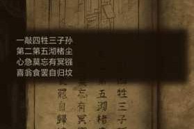 纸嫁衣 7 卿不负电脑版：电脑玩纸嫁衣 7 卿不负模拟器下载及安装攻略教程