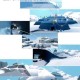 光遇光翼全收集指南：星火相随的奇幻之旅与高效获取技巧详解