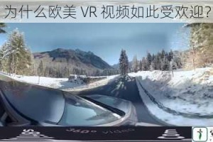 为什么欧美 VR 视频如此受欢迎？