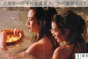 大学生一级毛片全黄真人，为何屡禁不止？