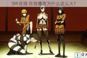 SM 在线 在线播放为什么这么火？