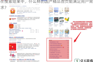 在搜索结果中，什么样的国产精品首页能满足用户需求？