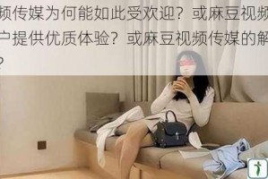 麻豆视频传媒为何能如此受欢迎？或麻豆视频传媒如何为用户提供优质体验？或麻豆视频传媒的解决方案是什么？