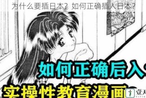 为什么要插日本？如何正确插入日本？