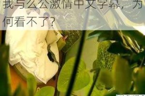 我与么公激情中文字幕，为何看不了？