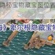 黎明之海比萨隐秘宝物藏宝图位置全收集攻略与详细坐标解析