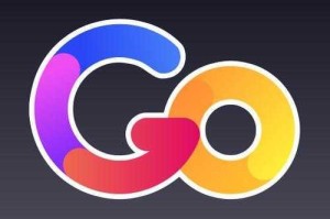 gogogo 免费完整国语下载：为什么找不到？如何快速获取？