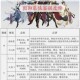 我的侠客武当派玩法全攻略 加点技巧与解锁条件深度解析