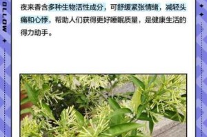 已满十八却进不了夜来香，这是为什么？或者：已满十八如何进入夜来香？又或者：已满十八怎样进入夜来香？