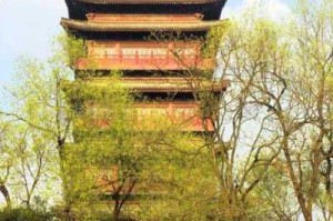清风阁视频为何如此吸引人？背后的原因是什么？