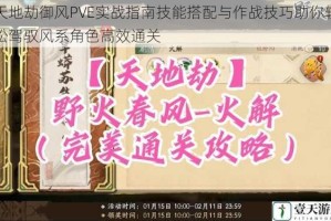 天地劫御风PVE实战指南技能搭配与作战技巧助你轻松驾驭风系角色高效通关